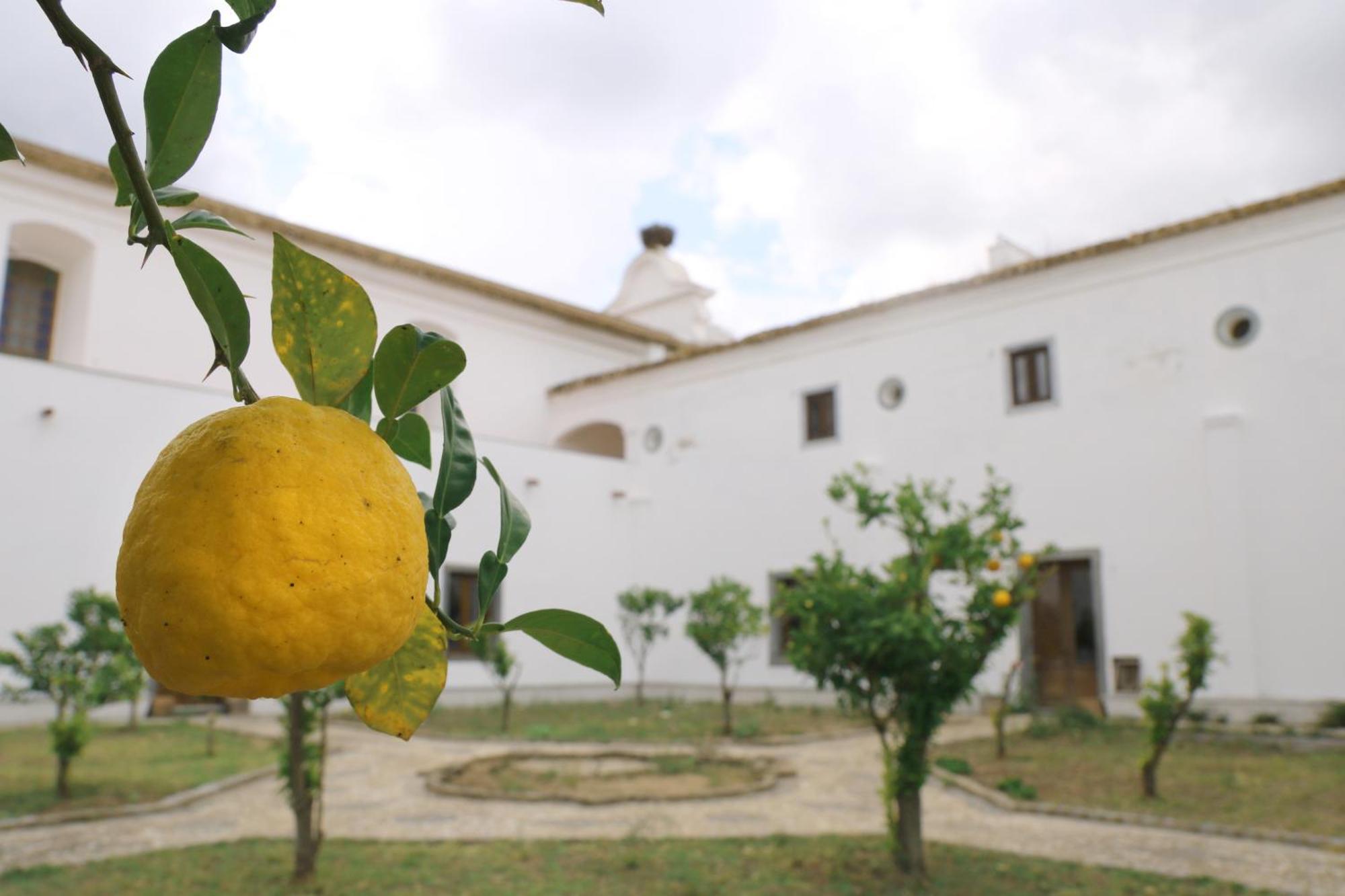 Penzion Convento Da Orada - Monsaraz Exteriér fotografie